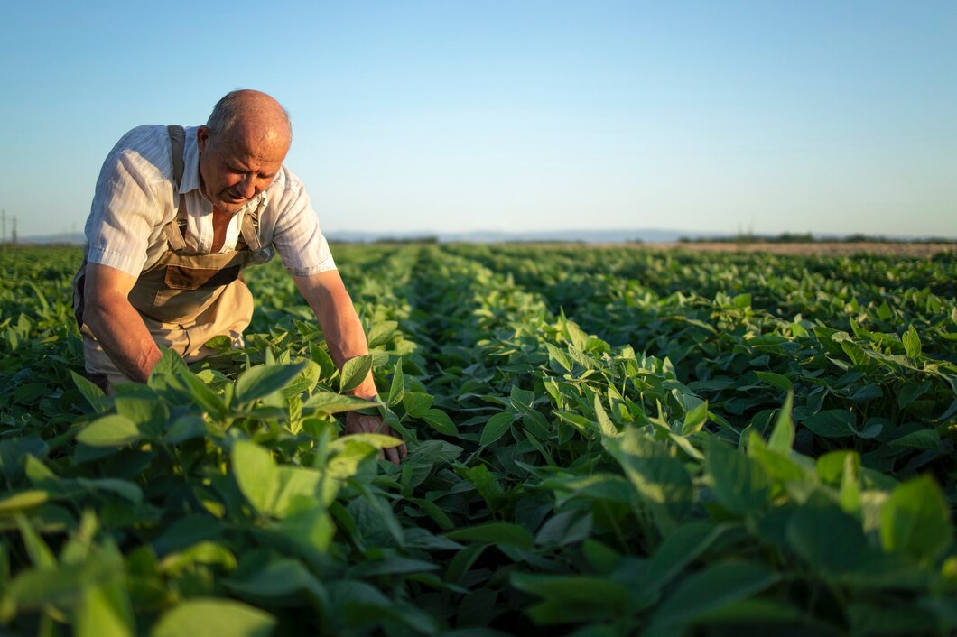 A AGRICULTURA  COMO BASE DE DESENVOLVIMENTO DO PAIS